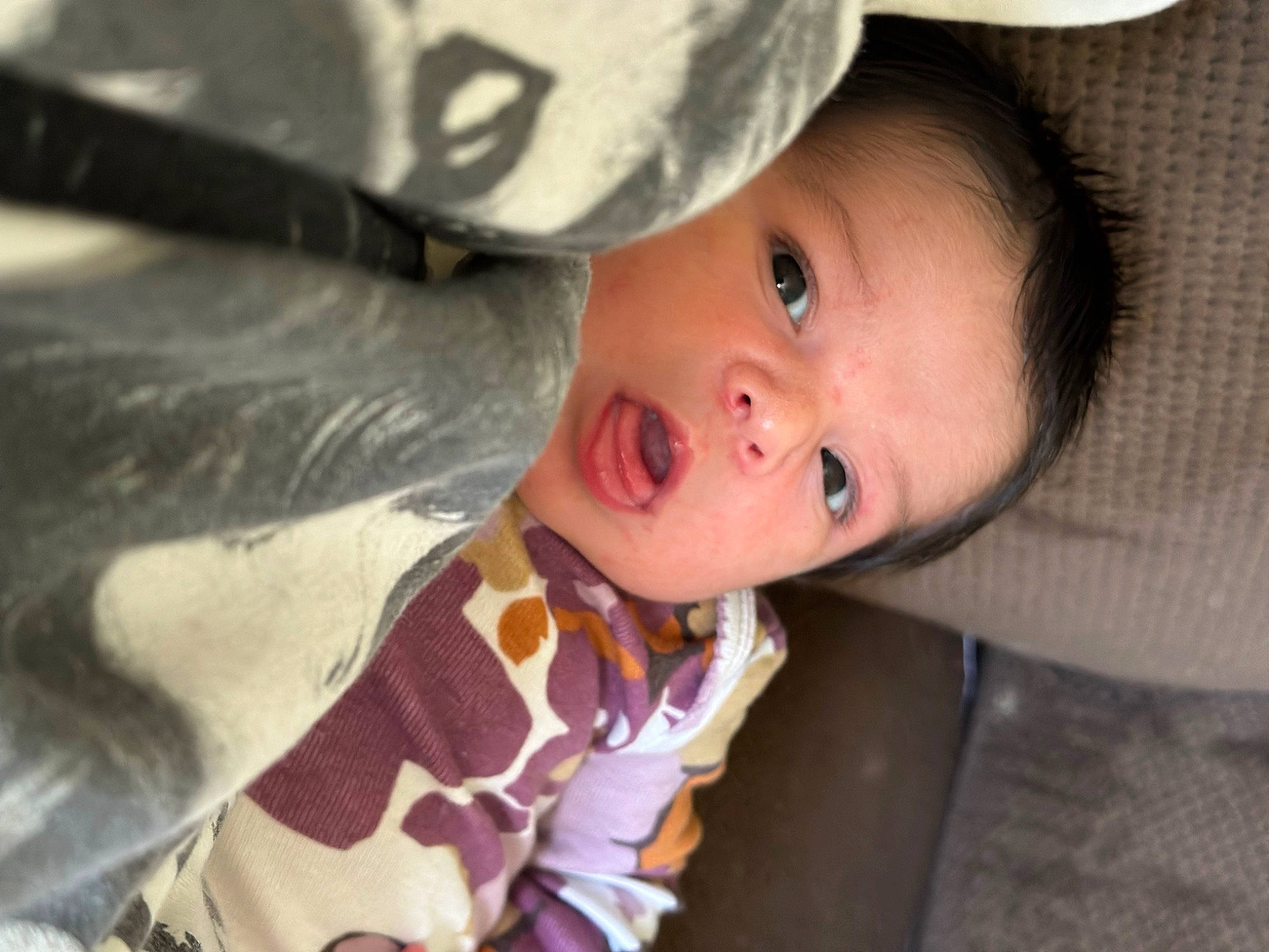 Diana is registered to the contest to win money with this photo: baby, baby_toddler_clothing, cheek, eye, eyebrow, eyelash, happy, hat, human_body, iris, lip, nose, person, sitting, skin, sleeve, smile, toddler, tree, window