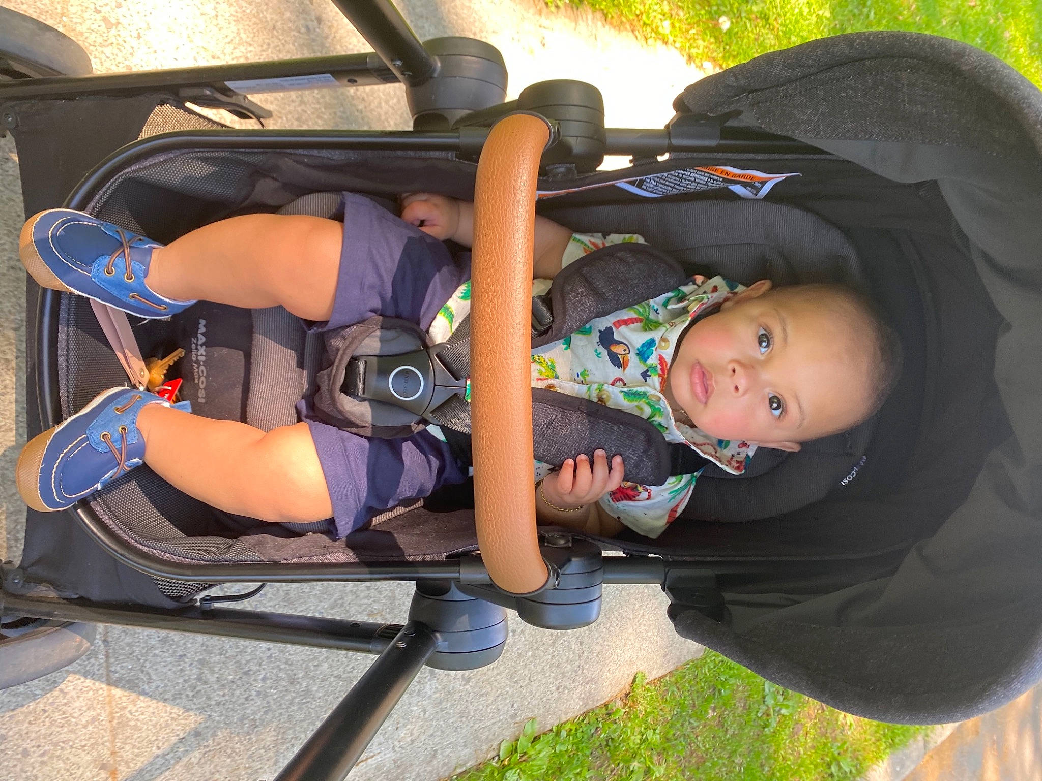 Kashmir is registered to the contest to win money with this photo: auto_part, automotive_exterior, baby, baby_carriage, baby_products, child, cool, family_car, fun, grass, human_leg, leisure, person, plant, recreation, shorts, thigh, tire, toddler, tree