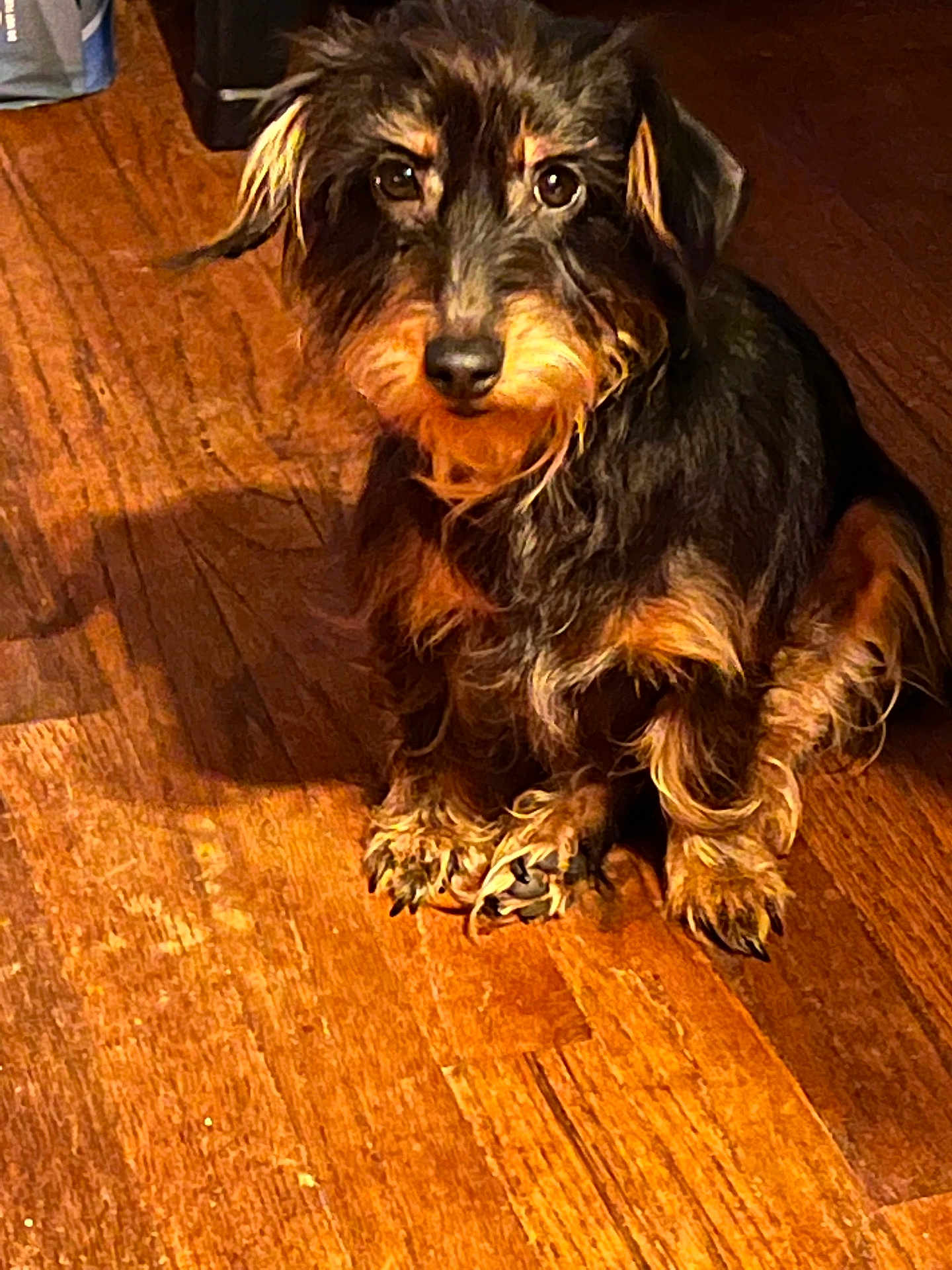 Marley