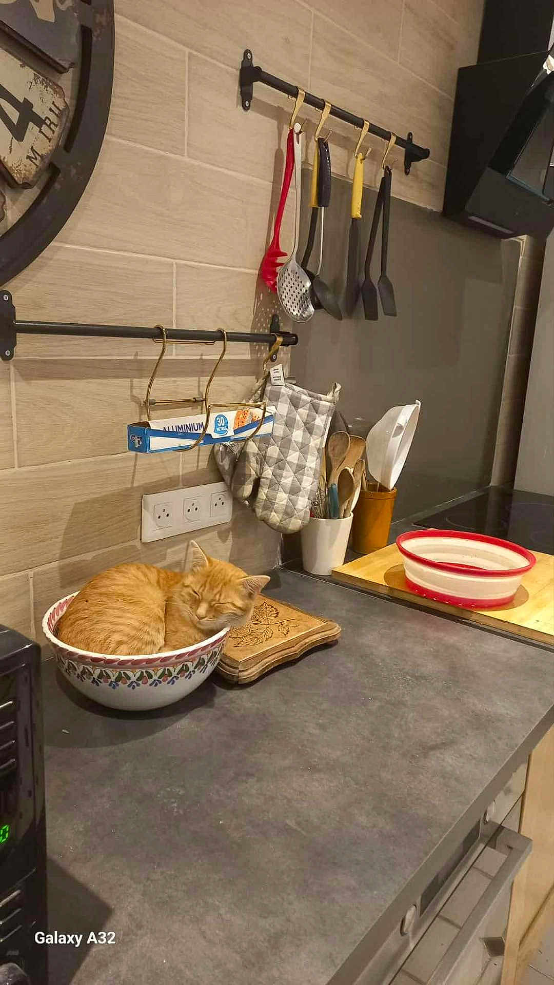 Dusty a rejoint le concours — aidez-le/la à gagner de superbes lots ! cat, orange_cat, bowl, kitchen, countertop, utensils, oven_mitts, wooden_spoons, cutting_board, appliance, tile_wall, relaxing, sleeping, domestic, pet, indoor, cozy, curled_up, cute, quiet