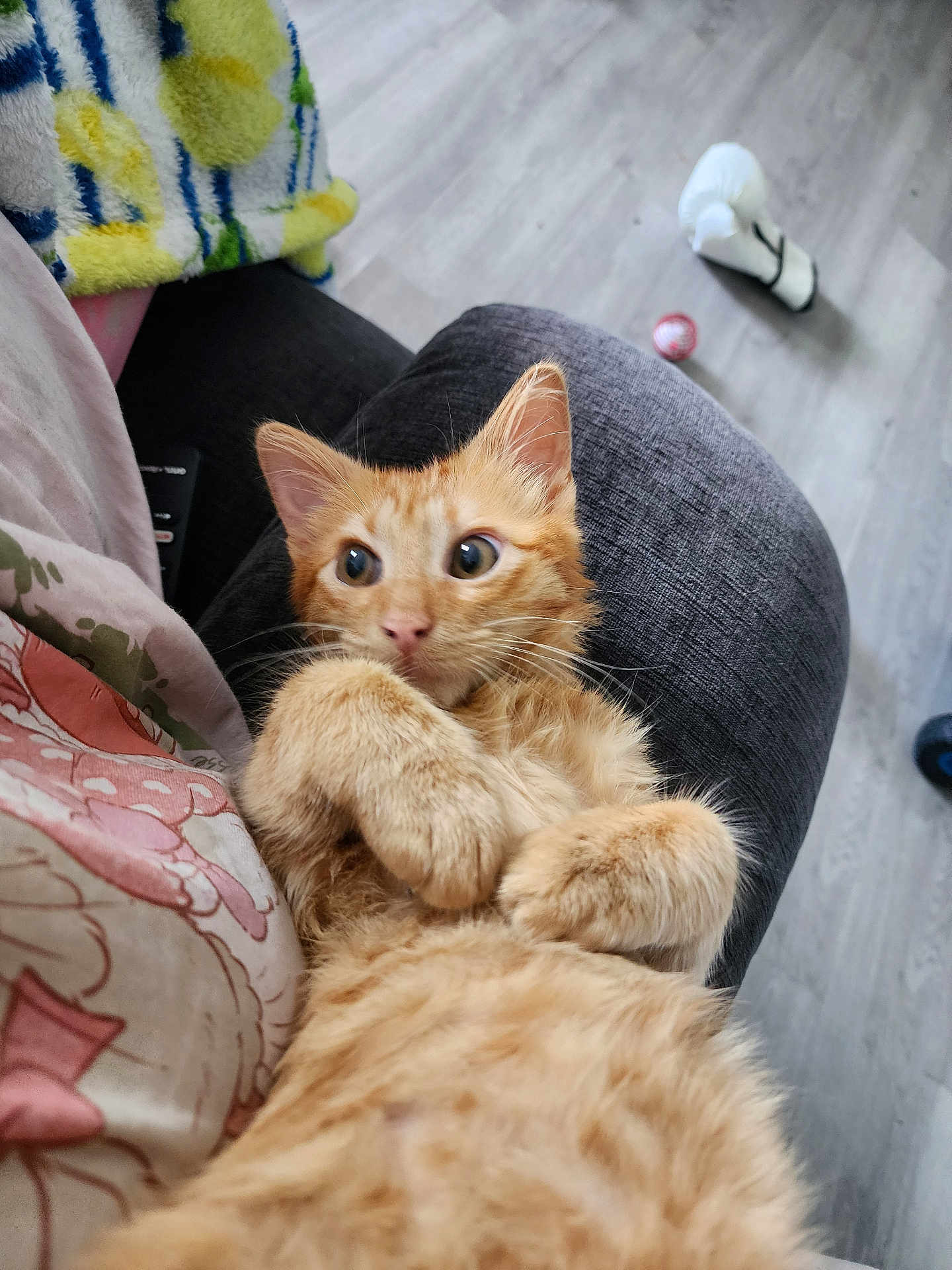 Cinnamon