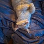 Abu a rejoint le concours — aidez-le/la à gagner de superbes lots ! cat, white_cat, sleeping, fluffy, cozy, blanket, blue_blanket, indoor, pet, feline, relaxed, cute, paws, fur, resting, nap, domestic_animal, soft_lighting, close_up, peaceful