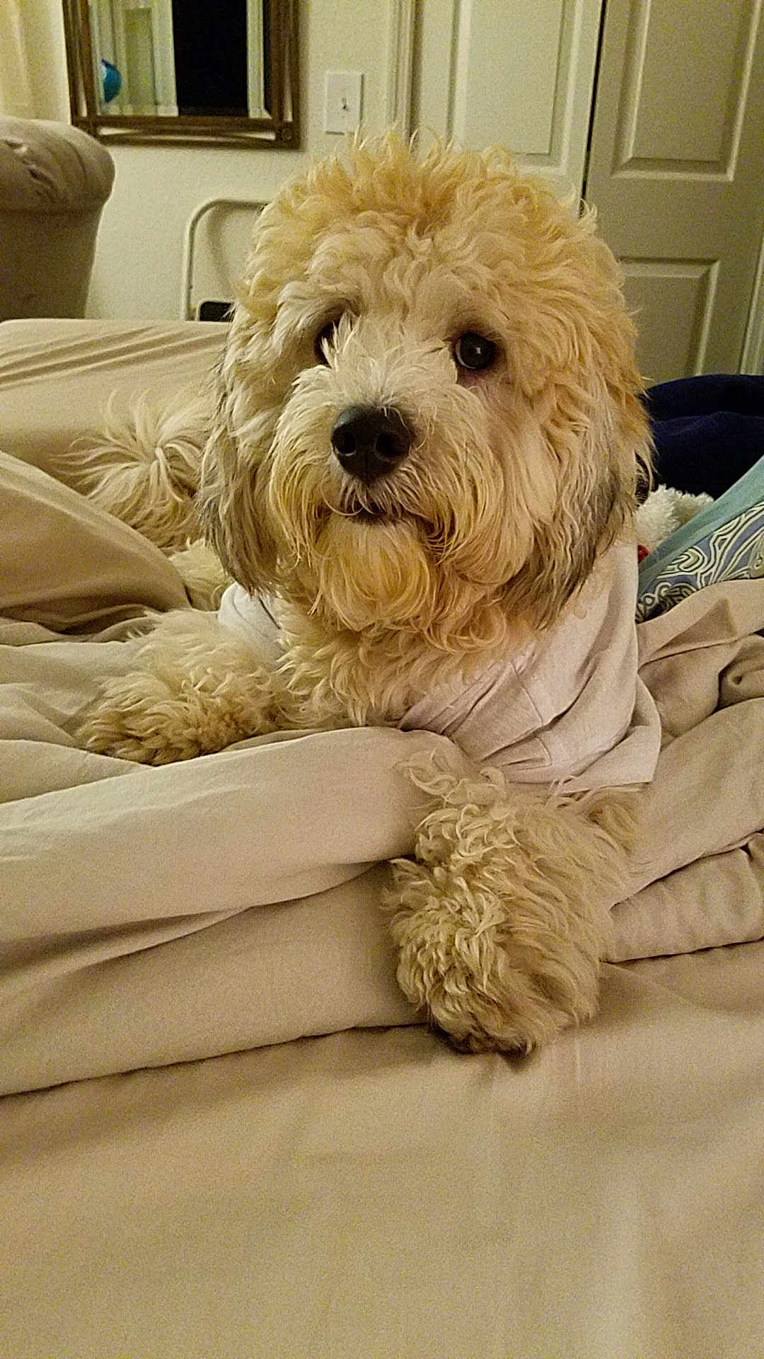 Willie