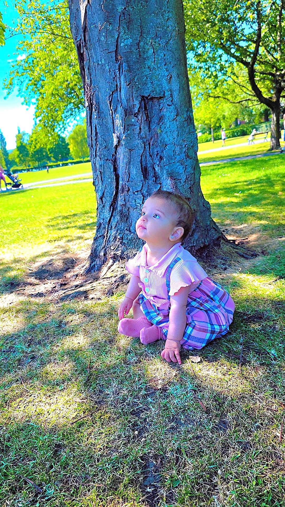 Rahaf joined the competition — help win amazing prizes! child, toddler, tree, grass, park, outdoor, sunlight, dress, pink, plaid, sitting, curious, nature, daytime, people, bench, shadows, greenery, young_child, earrings