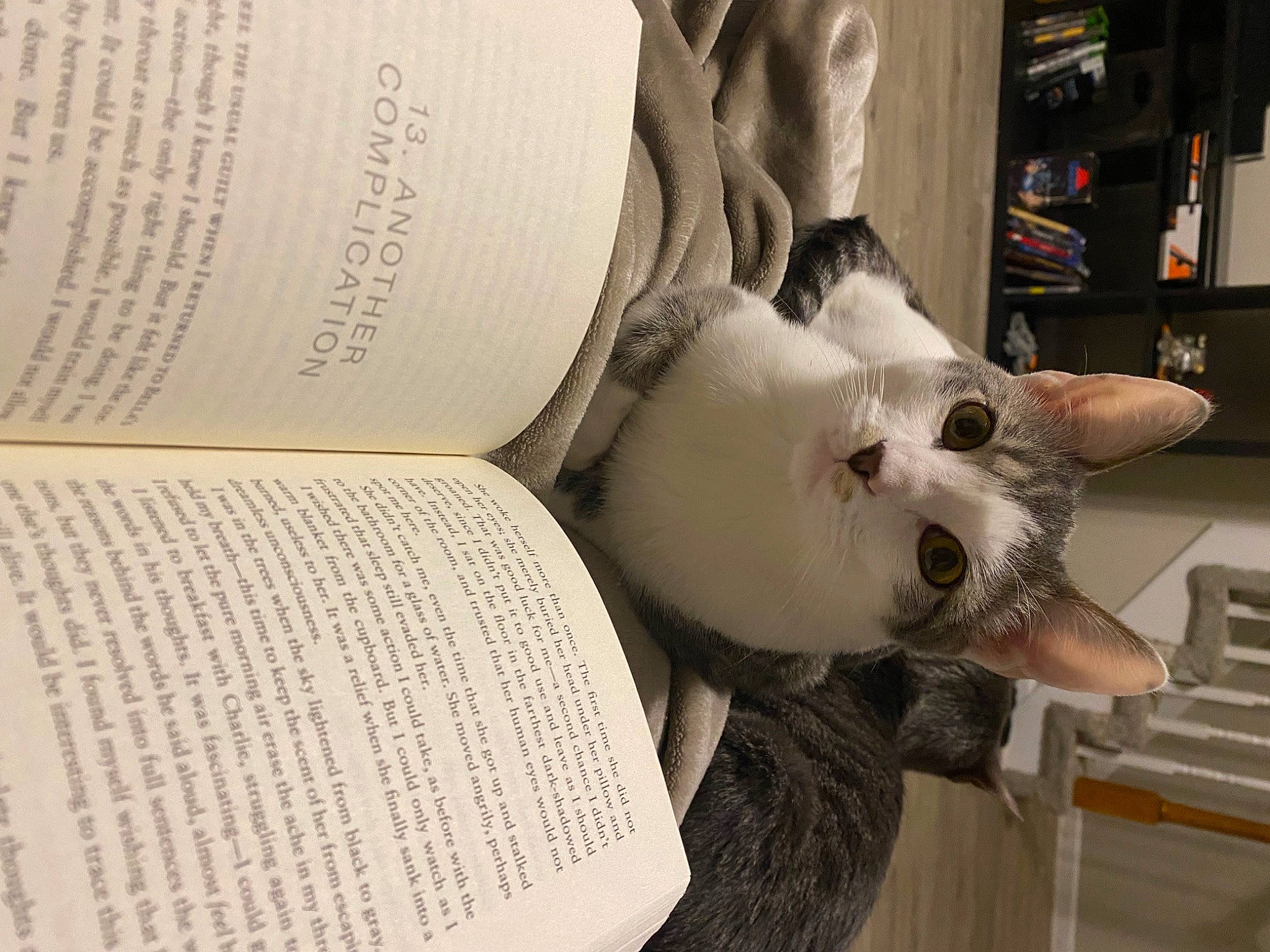 Sawyer is registered to the contest to win money with this photo: book, carnivore, cat, comfort, companion_dog, dog_breed, domestic_short_haired_cat, felidae, font, fur, paper, paw, publication, small_to_medium_sized_cats, tail, whiskers
