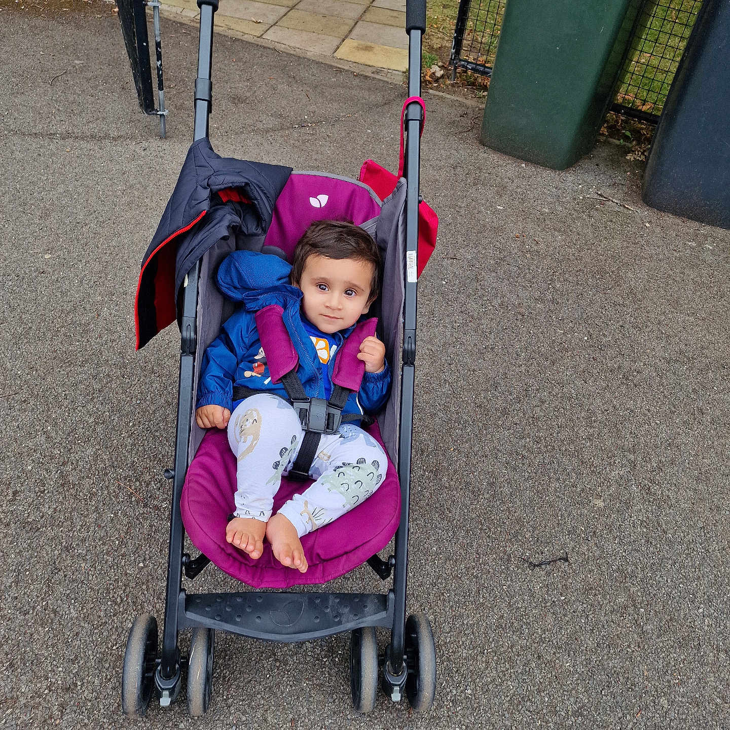 Aum is registered to the contest to win money with this photo: barefoot, blue, casual, child, curious, daylight, greenery, jacket, outdoor, pants, pathway, pavement, person, purple, seat_belt, smile, stroller, toddler, trash_bins, wheel