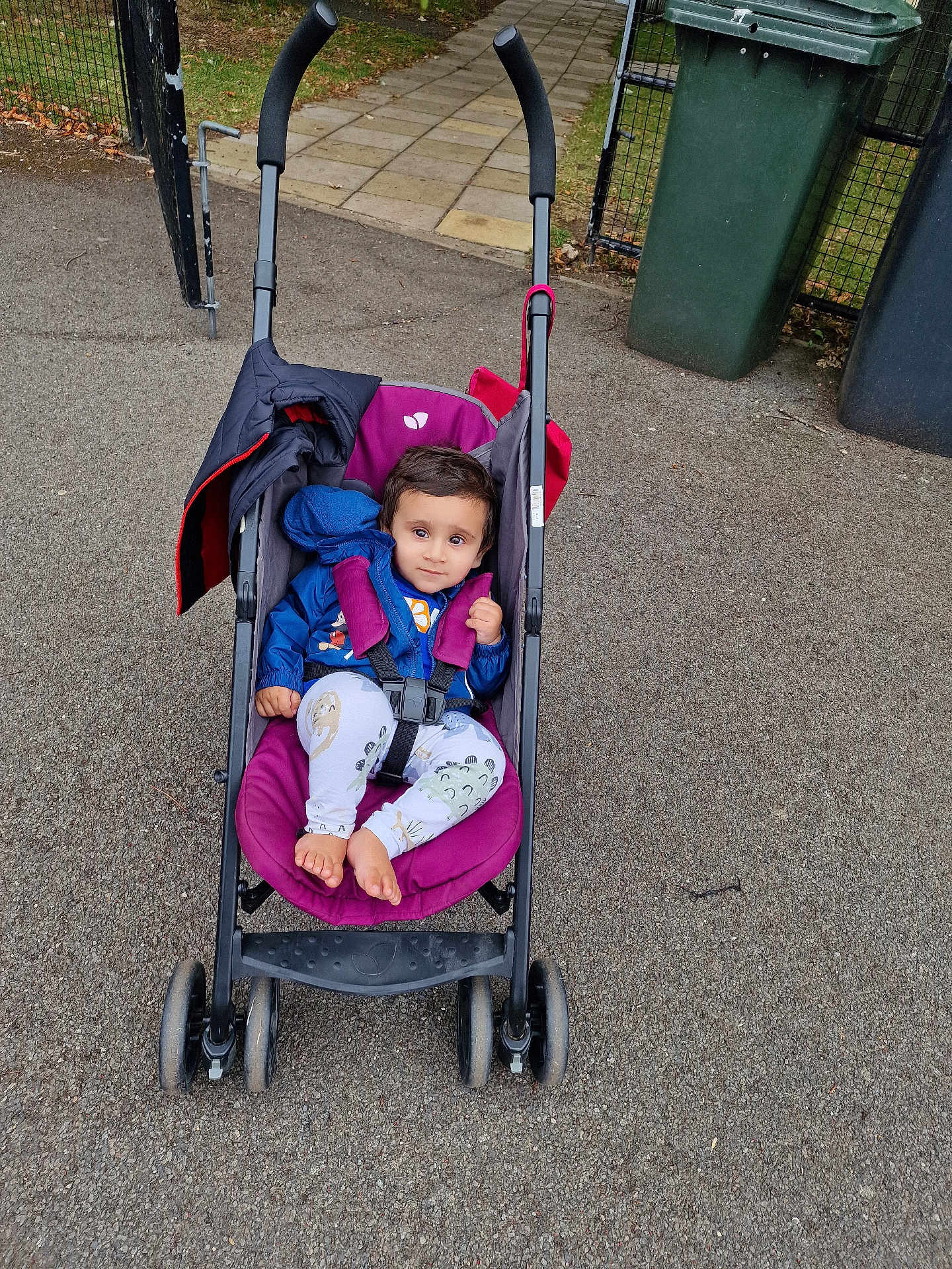 Aum is registered to the contest to win money with this photo: toddler, stroller, child, outdoor, pavement, jacket, pants, barefoot, purple, blue, greenery, trash_bins, curious, smile, seat_belt, pathway, wheel, person, casual, daylight