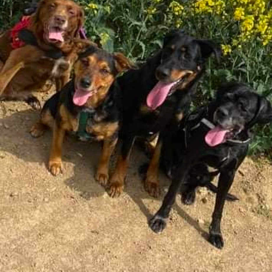 La Troupe