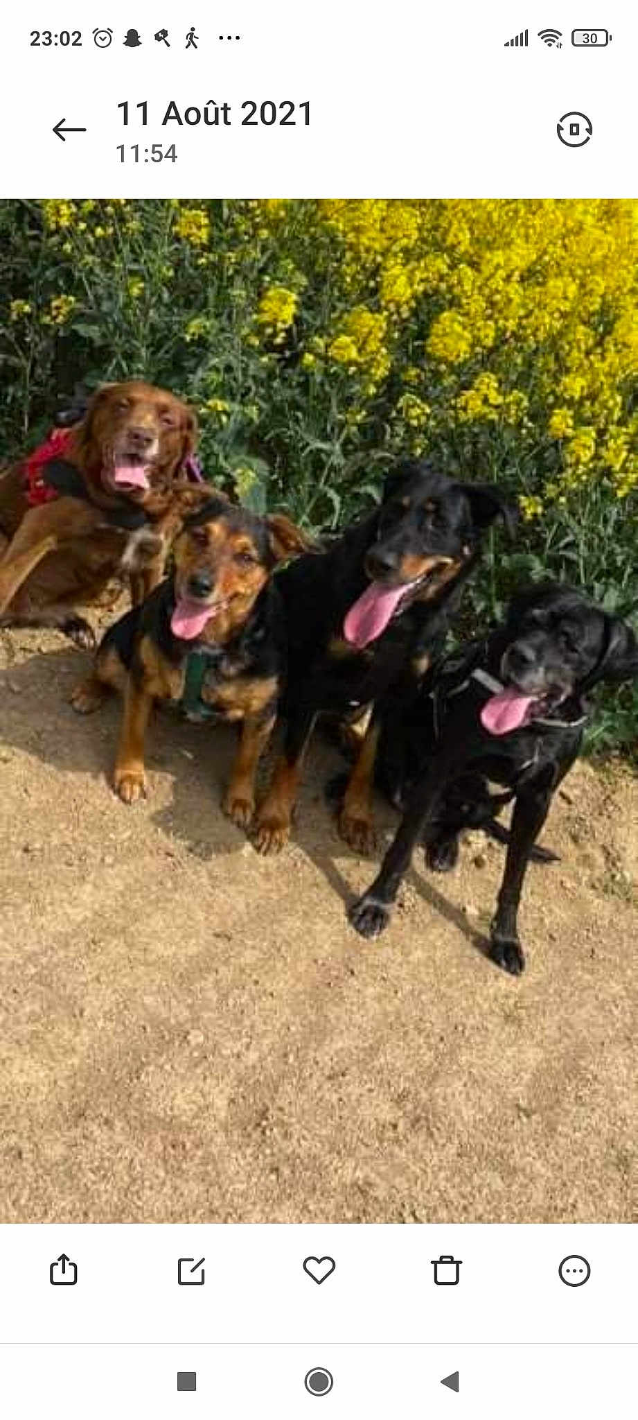 La Troupe