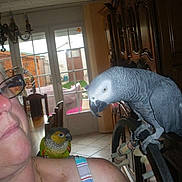 P?pito participe au concours pour gagner de l'argent avec cette photo :