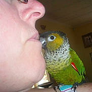Yoyotte participe au concours pour gagner de l'argent avec cette photo :