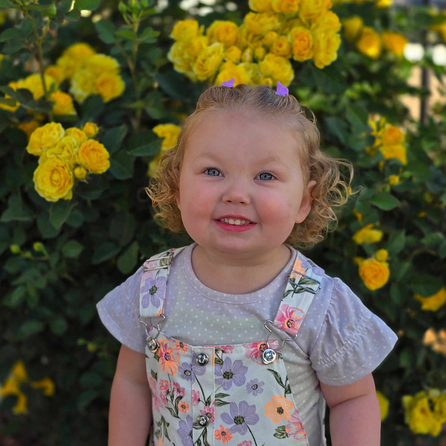 Briar-Rose joined the competition — help win amazing prizes! child, curly_hair, cute, daylight, floral_overall, flowers, garden, greenery, hair_clips, happy, innocence, nature, outdoor, person, polka_dot_shirt, portrait, smiling, summer, toddler, yellow_roses