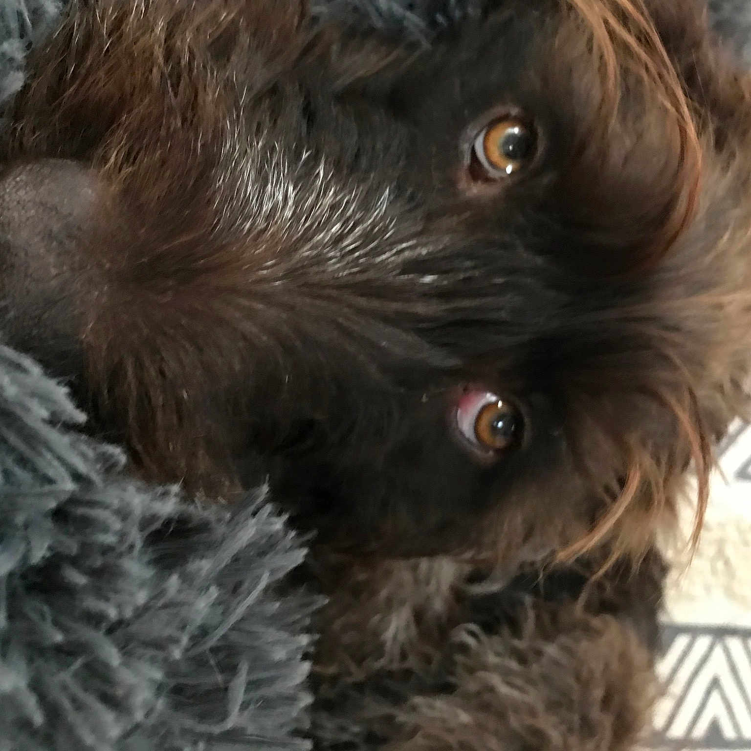 Sam
