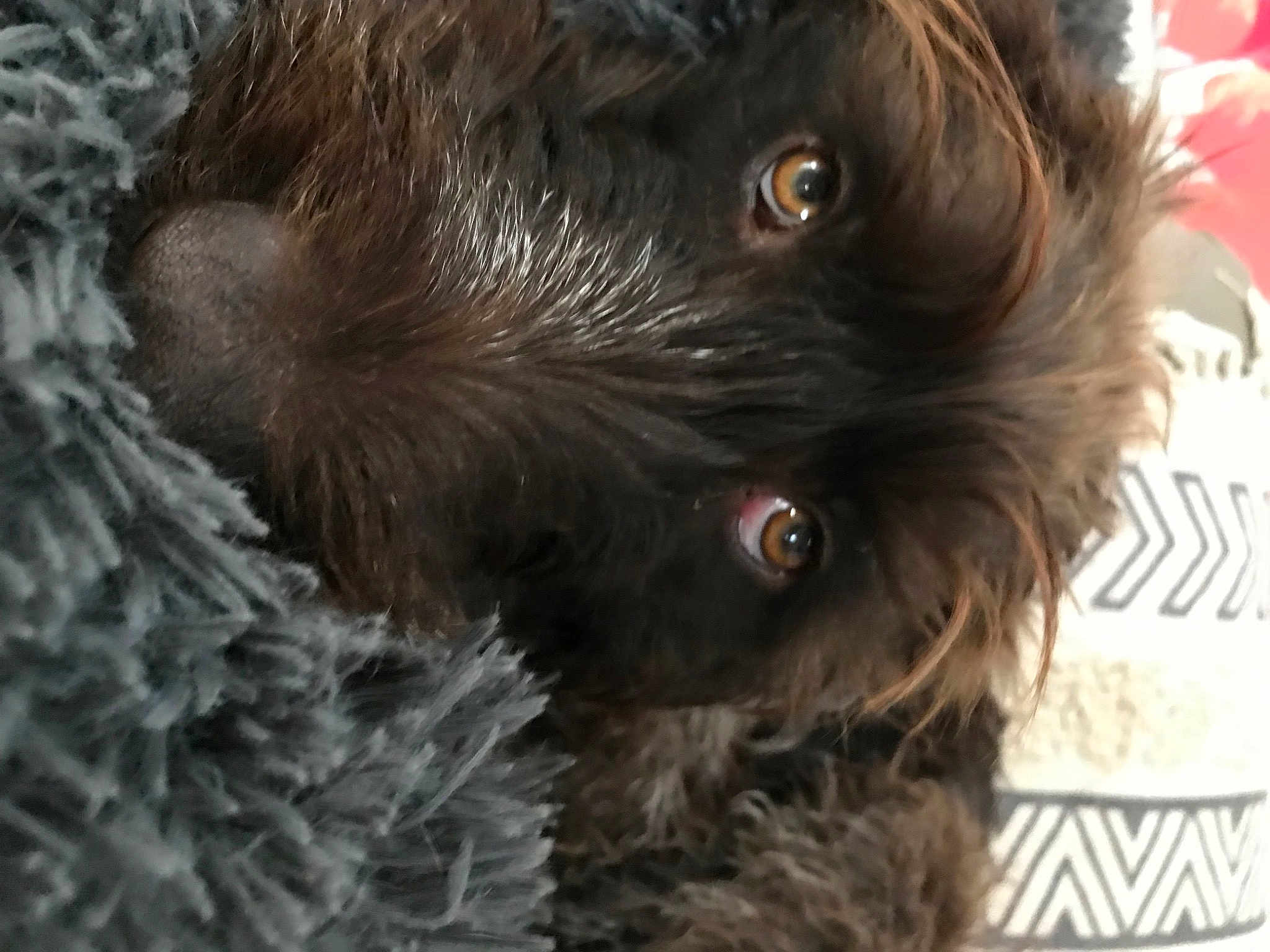 Sam