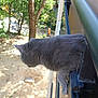 Turkoise participe au concours pour gagner de l'argent avec cette photo :