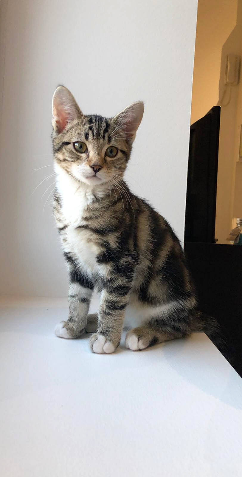 Romeo
