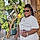 Ayele. O. A.