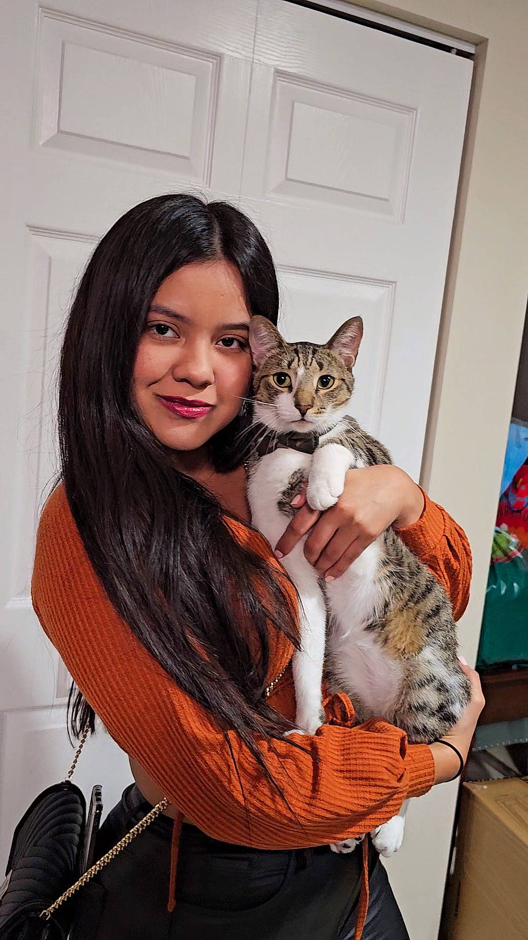 Benito joined the competition — help win amazing prizes! bag, brown_hair, carnivore, cat, chair, comfort, domestic_short_haired_cat, door, fawn, felidae, fur, lap, long_hair, shoulder, sitting, small_to_medium_sized_cats, smile, tail, toy, whiskers