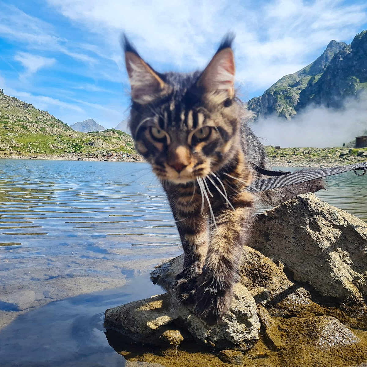 Zélios a rejoint le concours — aidez-le/la à gagner de superbes lots ! face, head, lake, landscape, mountain, mountainrange, nature, outdoors, peak, person, photography, plant, portrait, rock, scenery, sea, sky, vegetation, water, wilderness
