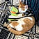 Chouquette