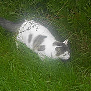 Ponpon a rejoint le concours — aidez-le/la à gagner de superbes lots !