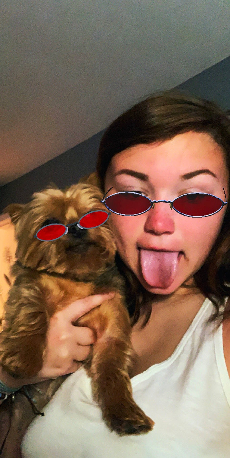 Prince is registered to the contest to win money with this photo: canidae, carnivore, companion_dog, dog, dog_breed, eye, eyewear, gesture, glasses, morkie, mouth, nose, photography, puppy, puppy_love, selfie, snout, tongue, vision_care