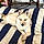 Hachiko