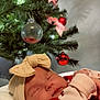 Ily is registered to the contest to win money with this photo: baby, sleeping, headband, bow, blanket, christmas_tree, ornament, red, decorations, holiday, soft_lighting, indoors, closeup, infant, cute, festive, peaceful, cozy, child, holiday_season