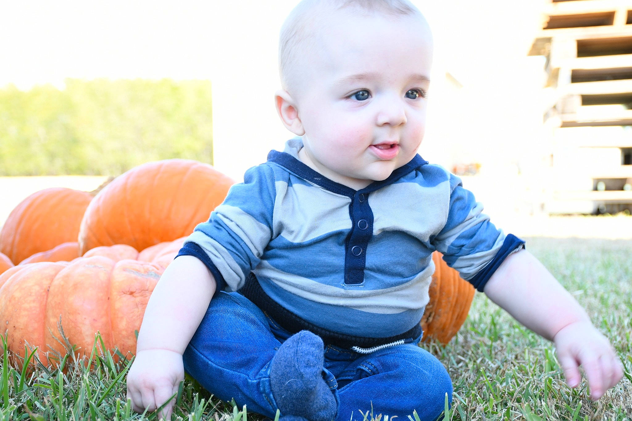 Ryan joined the competition — help win amazing prizes! arm, baby, baby_toddler_clothing, beauty, calabaza, clothing, eye, facial_expression, fun, grass, grass_family, happy, leg, meadow, people_in_nature, person, plant, pumpkin, smile, toddler