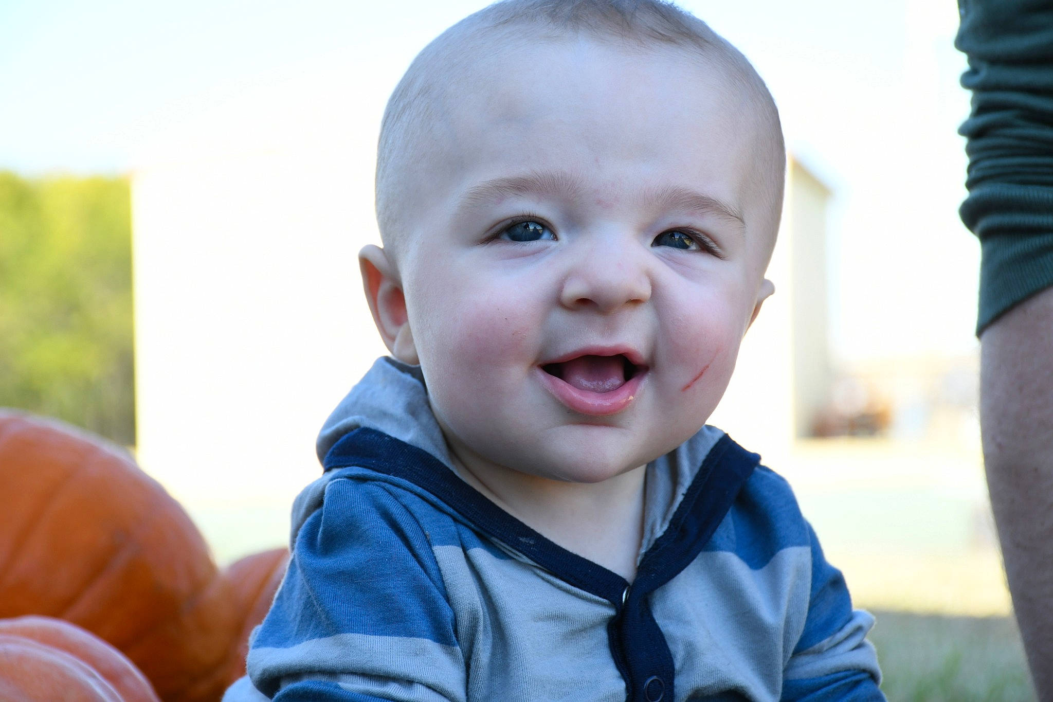 Ryan is registered to the contest to win money with this photo: baby, baby_laughing, baby_toddler_clothing, cheek, child, fun, grass, happy, iris, laugh, leisure, nose, people_in_nature, person, plant, sitting, skin, sky, sleeve, smile