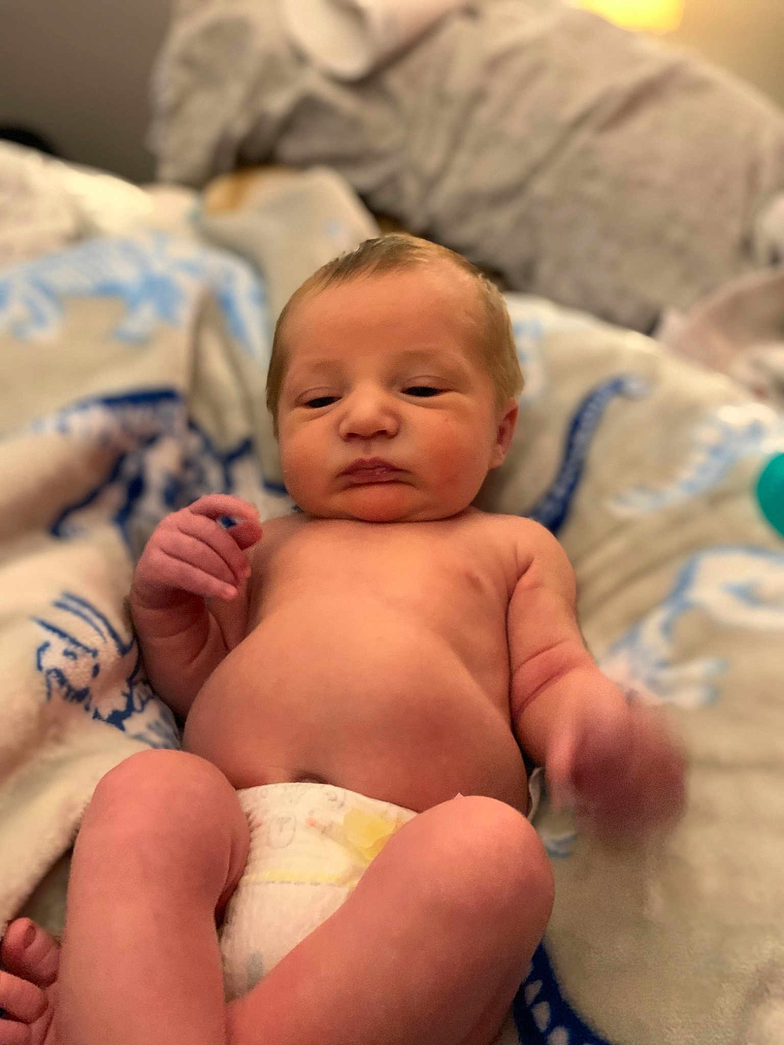 Xander
