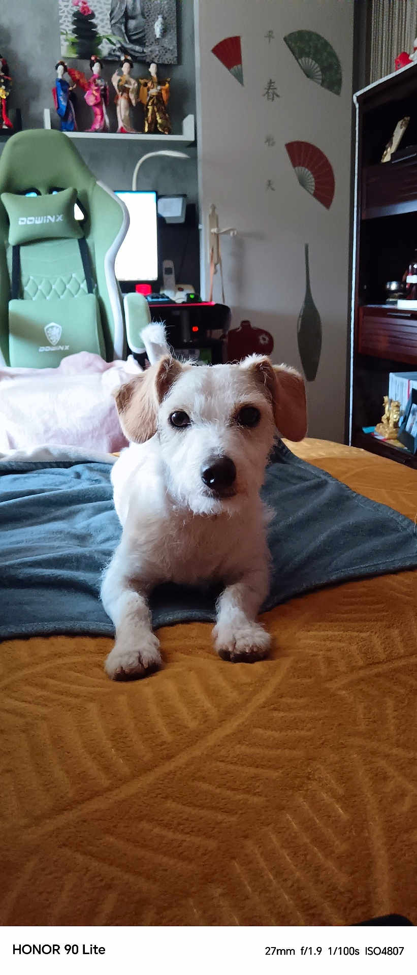 Tobby