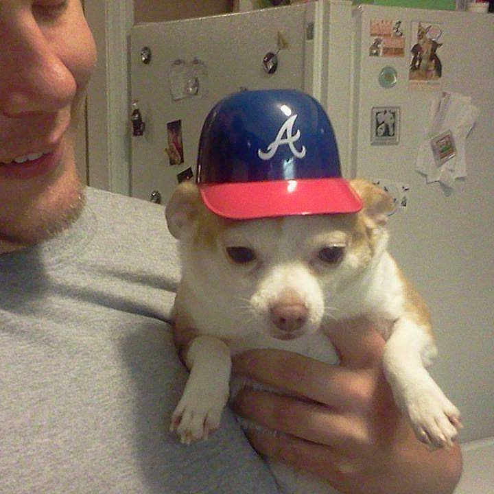Peanut