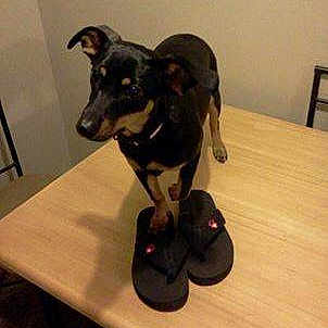 Sadie is registered to the contest to win money with this photo: