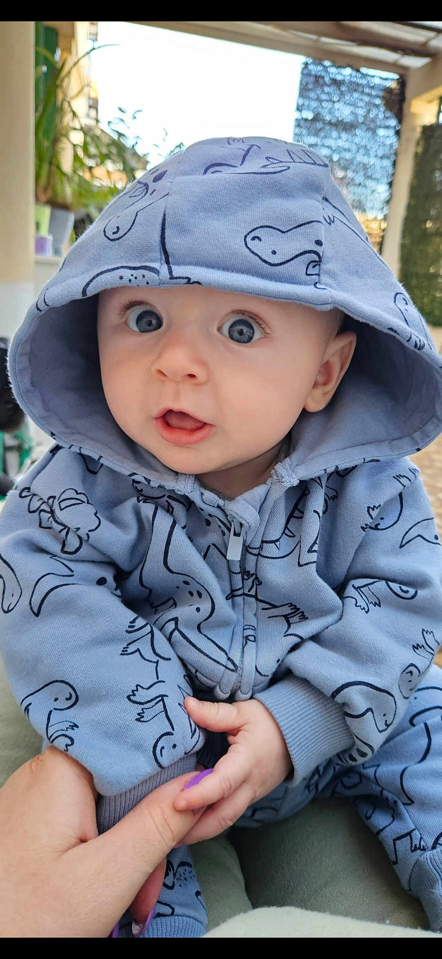 Arsenie participe au concours pour gagner de l'argent avec cette photo : baby, child, hoodie, blue_clothing, dinosaur_pattern, hand_holding, outdoor, curious_expression, face, person, infant, cute, portrait, sitting, hood, big_eyes, young_child, casual_clothing, human, closeup