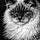 Siméon
