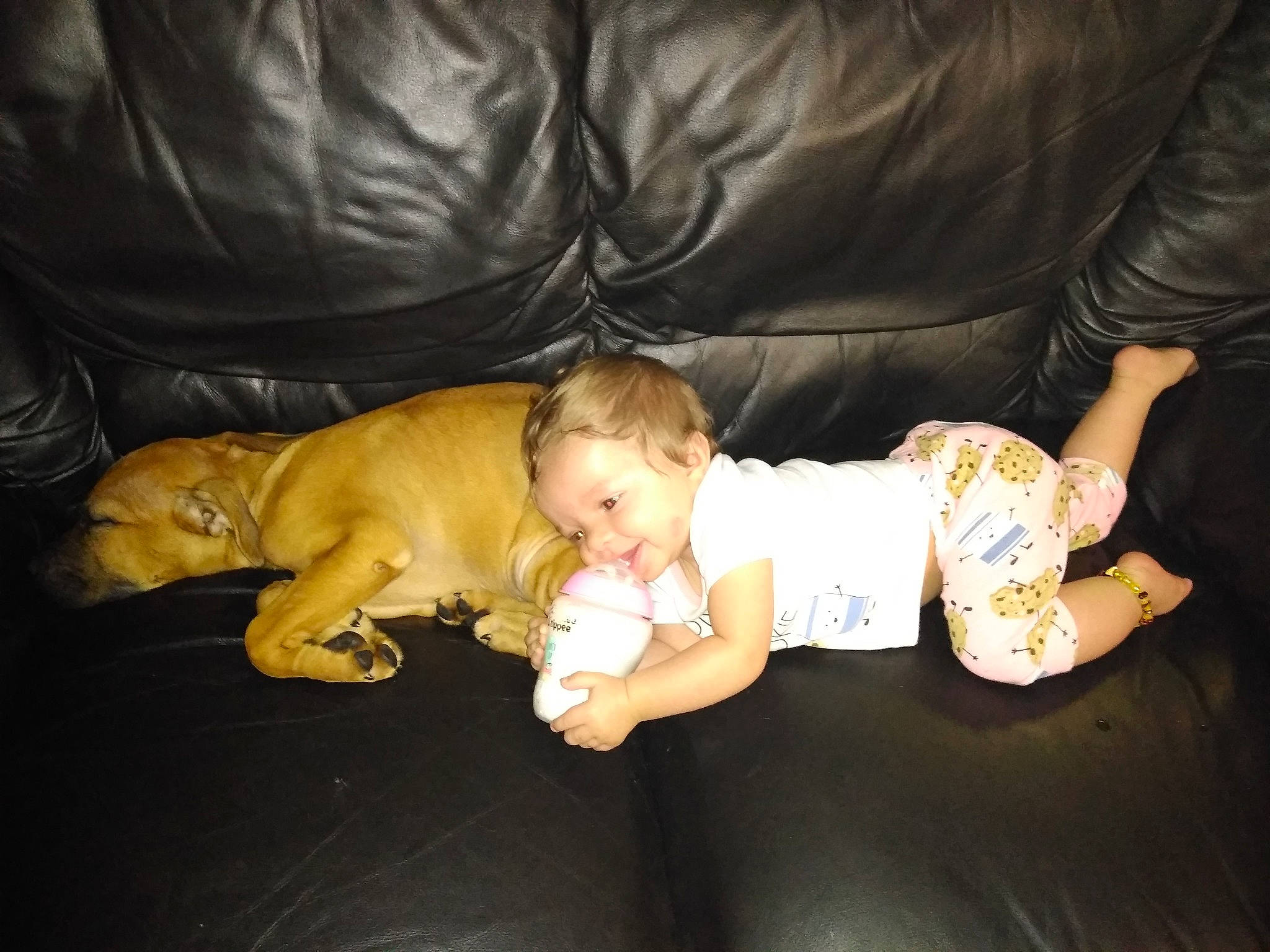 Natalya is registered to the contest to win money with this photo: baby, canidae, carnivore, child, companion_dog, dog, dog_breed, dogue_de_bordeaux, fawn, person, puppy, sporting_group