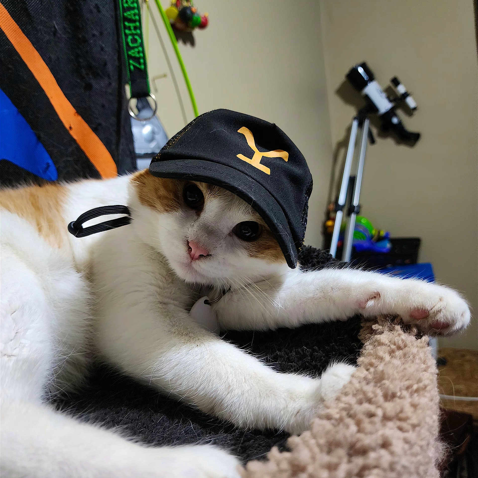 Mcnugget