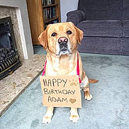 Barney joined the competition — help win amazing prizes!