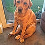 Barney is registered to the contest to win money with this photo: