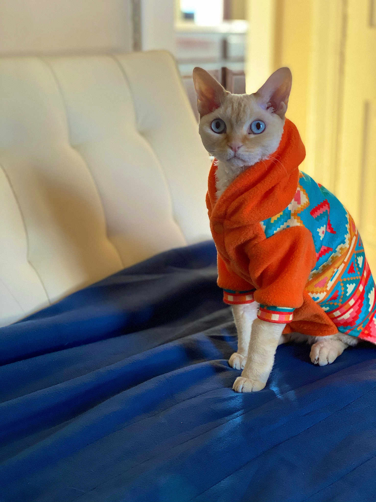 Luna