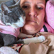 Alaska participe au concours pour gagner de l'argent avec cette photo : cat, person, face, blanket, pink, grey, white, couch, cozy, snuggling, resting, indoor, casual, clothing, pet, comfort, closeup, relaxation, soft, sleepy