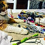 cat, calico_cat, crafting_table, embroidery_threads, scissors, sewing_supplies, table, fabric, yarn, thread, needle_box, colorful, indoor, pet, curious, feline, closeup, crafts, hobby, relaxed
