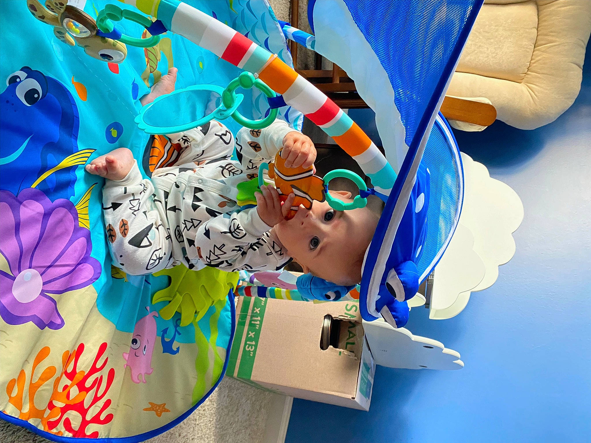 Keegan is registered to the contest to win money with this photo: animation, art, azure, balloon, blue, electric_blue, fashion_accessory, fictional_character, flower, font, fun, graphic_design, graphics, illustration, painting, paper, party_supply, pattern, person, petal