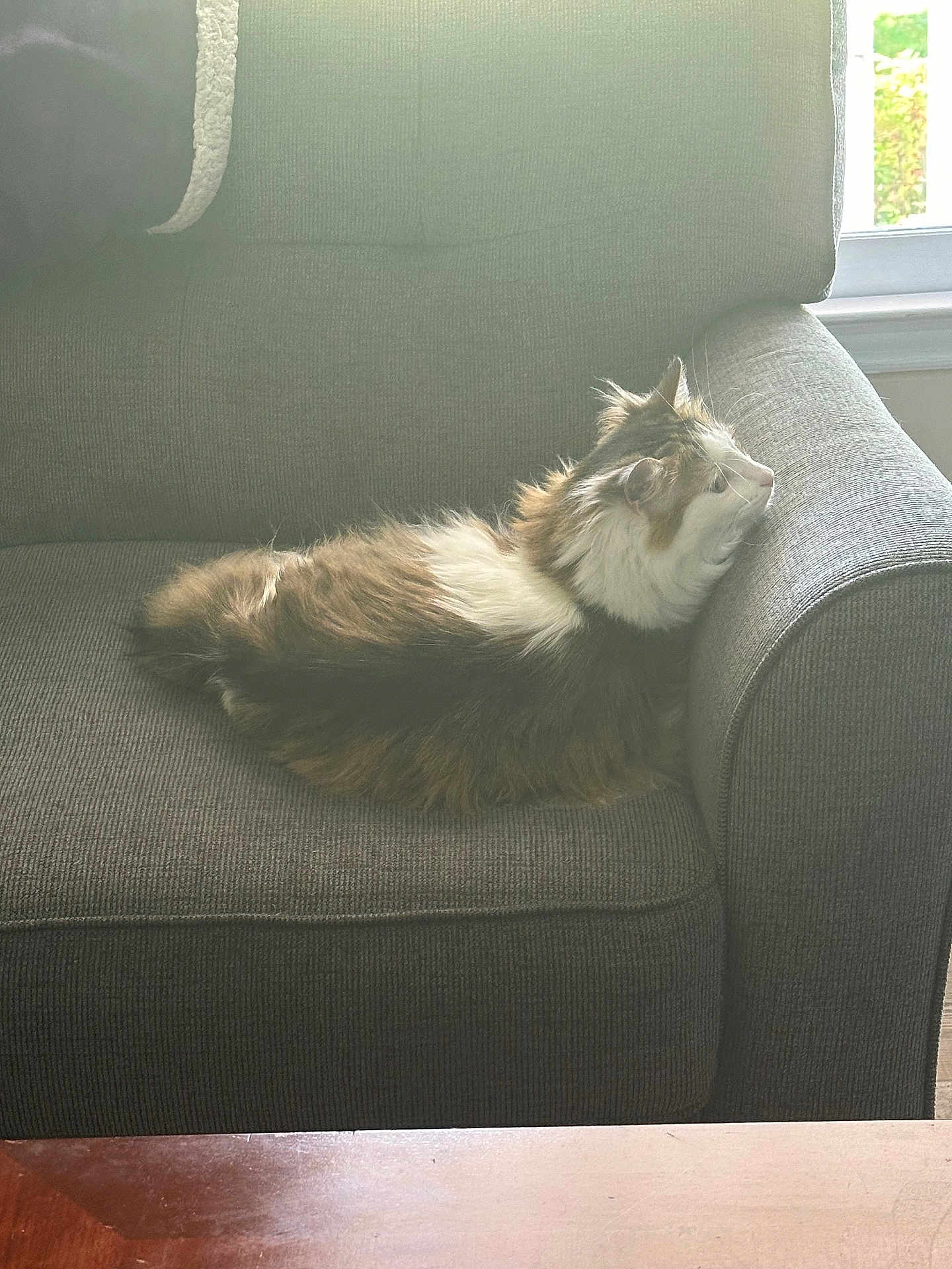 Kiki