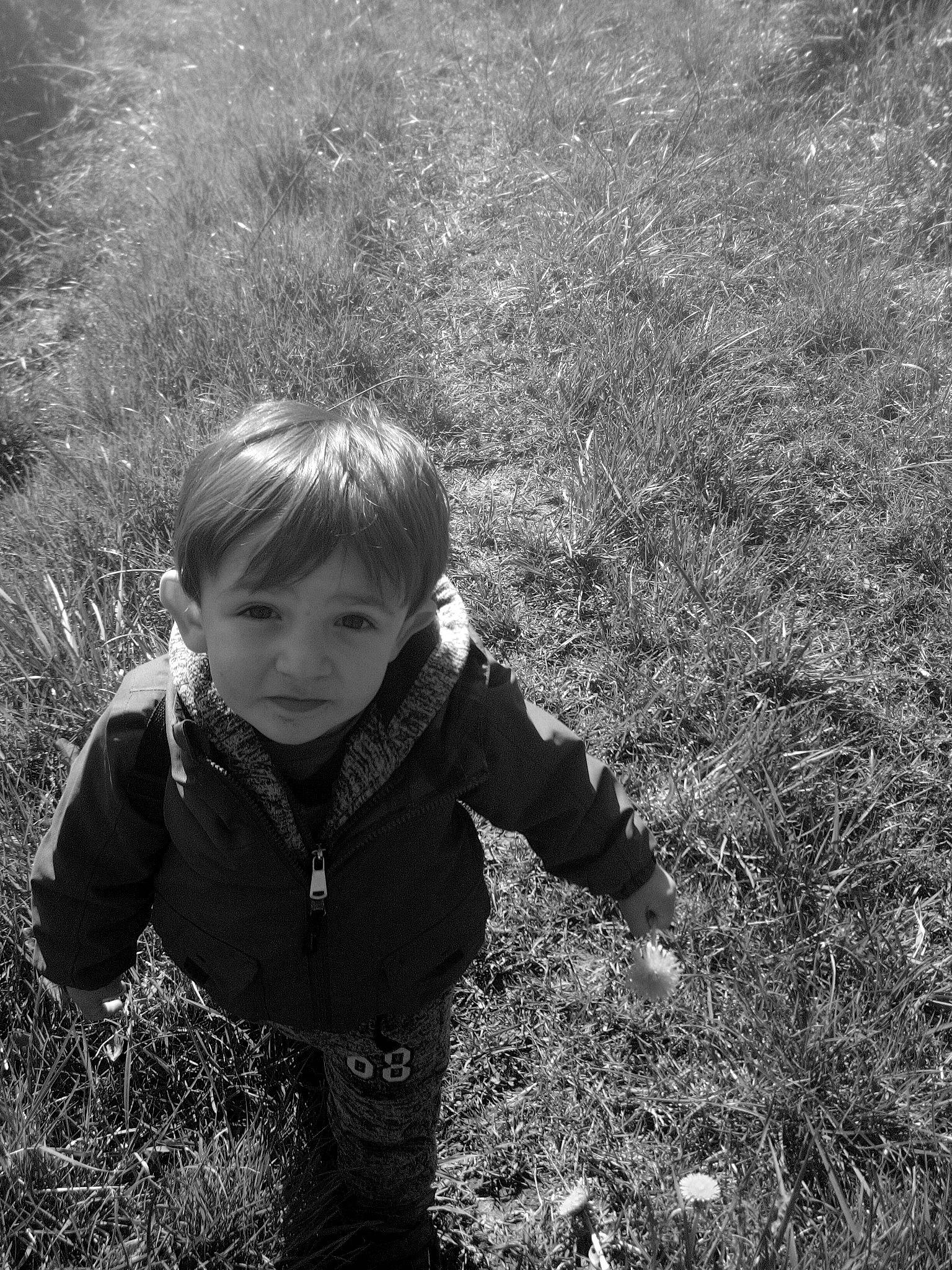 Max a rejoint le concours — aidez-le/la à gagner de superbes lots ! black, black_and_white, child, eye, face, fun, grass, grass_family, leaf, monochrome, monochrome_photography, people, people_in_nature, person, photograph, photography, smile, snapshot, standing, toddler