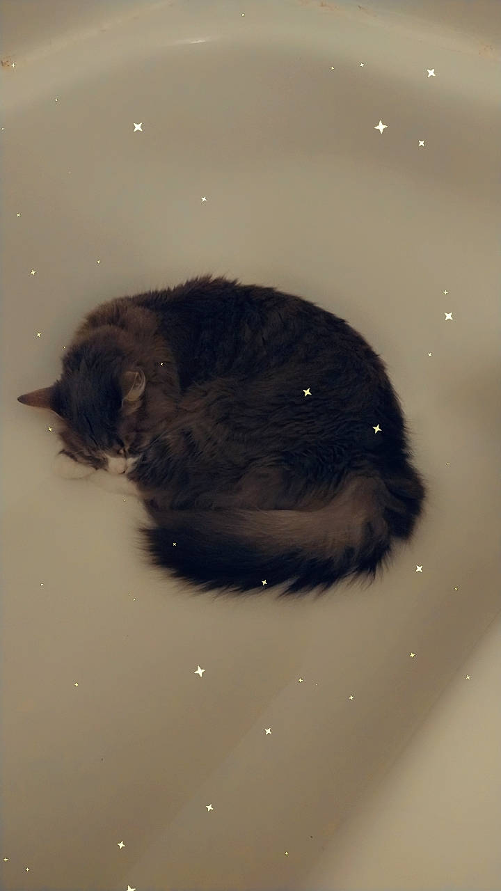 Blu joined the competition — help win amazing prizes! circle, fluid, liquid, science, snout, terrestrial_animal, water