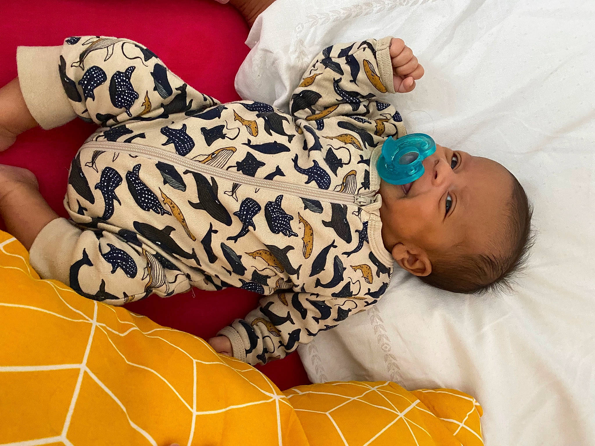 Alessio a rejoint le concours — aidez-le/la à gagner de superbes lots ! baby, baby_sleeping, baby_toddler_clothing, child, comfort, couch, flooring, human_body, human_leg, knee, leisure, linens, pattern, person, play, product, sleeve, textile, thigh, toddler