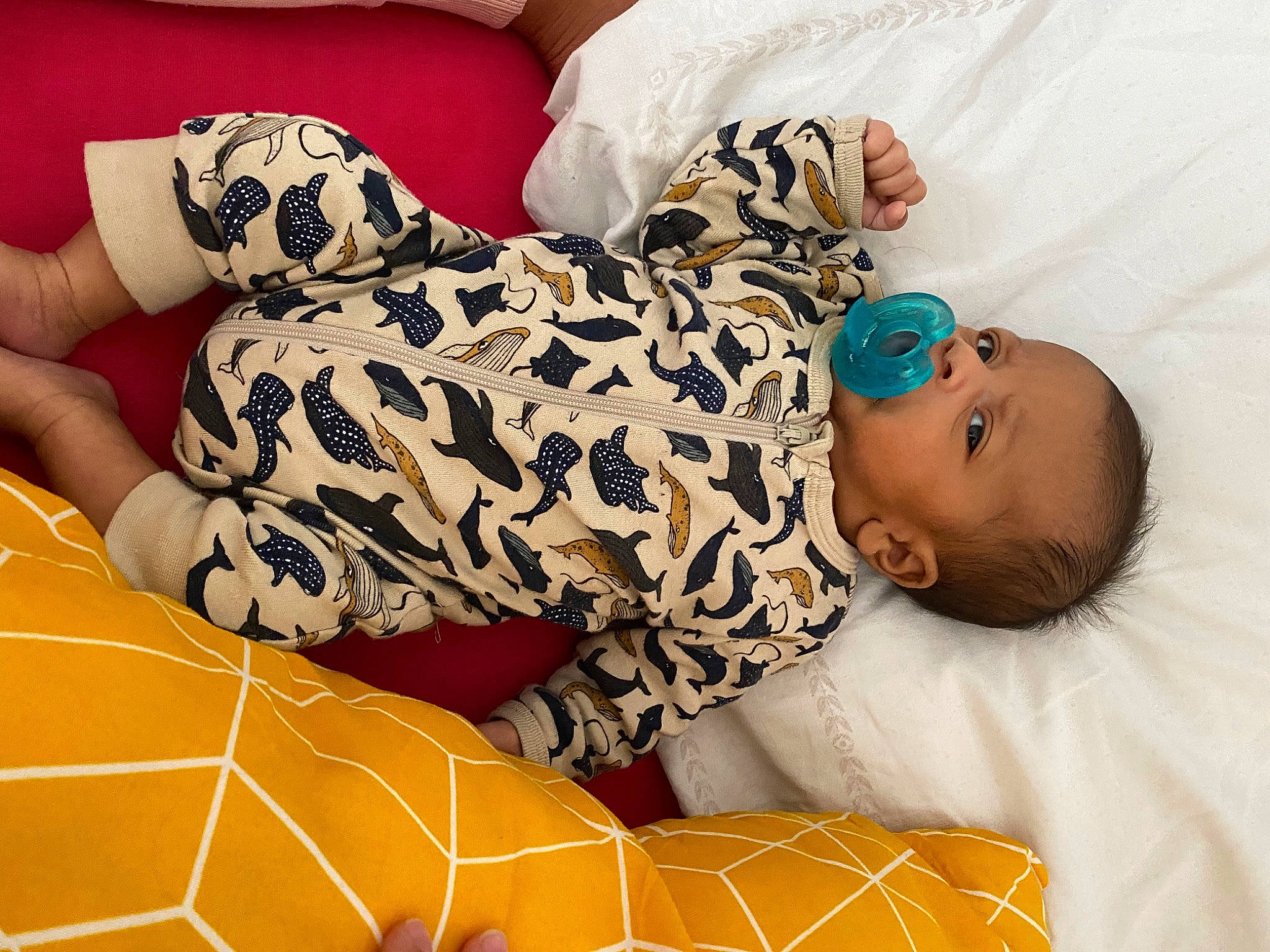 Alessio participe au concours pour gagner de l'argent avec cette photo : baby, baby_sleeping, baby_toddler_clothing, bedding, child, comfort, couch, facial_expression, human_body, human_leg, knee, linens, pattern, person, sitting, sleeve, t_shirt, textile, thigh, toddler