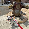 dog, animal, statue, bronze, beaver, harness, leash, sidewalk, person, safety_vest, cart, bags, outdoor, sunny, shadow, pavement, building_wall, red_leash, happy, pet